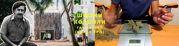 спайс Алексин