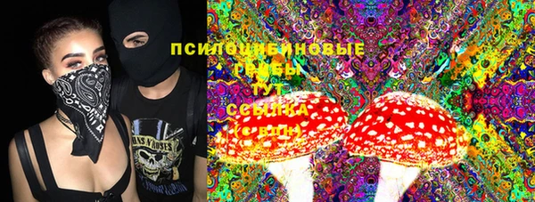 спиды Алзамай