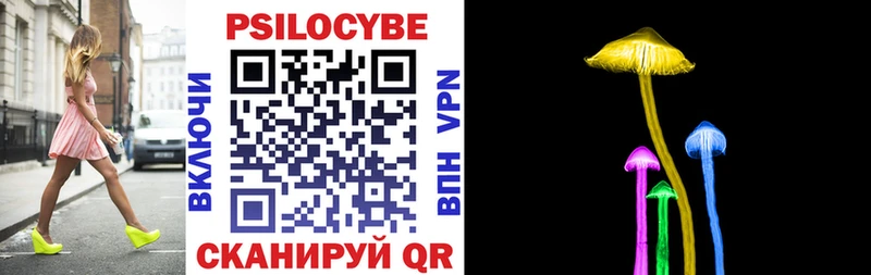 omg как зайти  как найти   Оса  Псилоцибиновые грибы Cubensis 